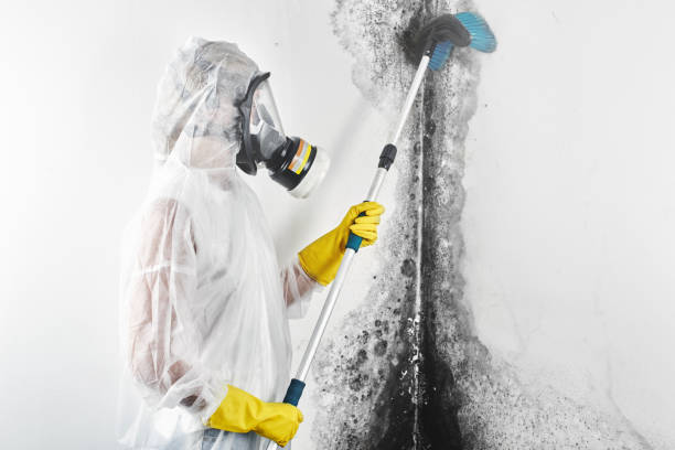 Best Real Estate Mold Inspection  in Lower Grand Lagoon, FL