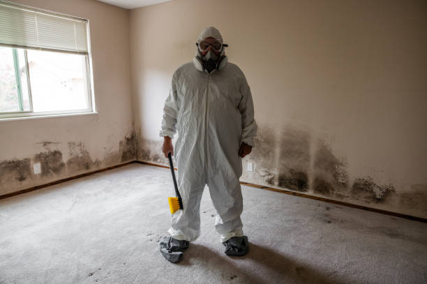 Best Basement Mold Removal  in Lower Grand Lagoon, FL