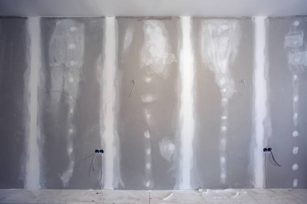 Best Asbestos and Lead Testing During Mold Inspection  in Lower Grand Lagoon, FL