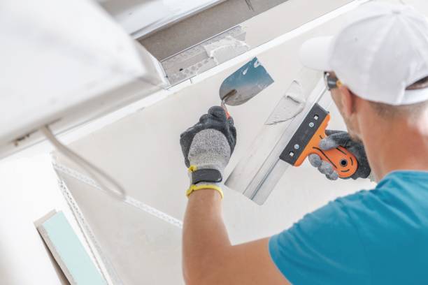  Lower Grand Lagoon, FL Mold Removal Pros